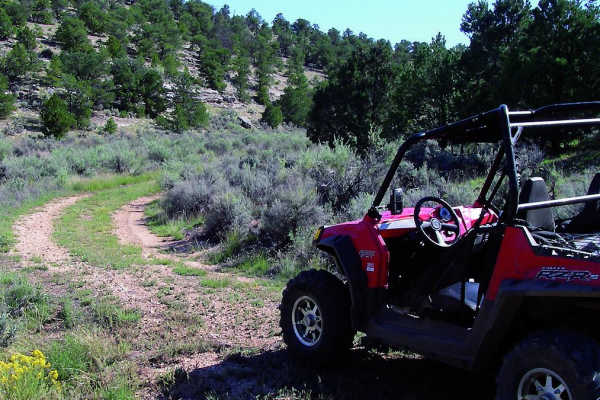 Buffalo Ranch