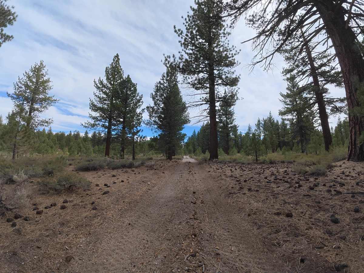 Sandy Flats Access - FS 1S85 photo 2
