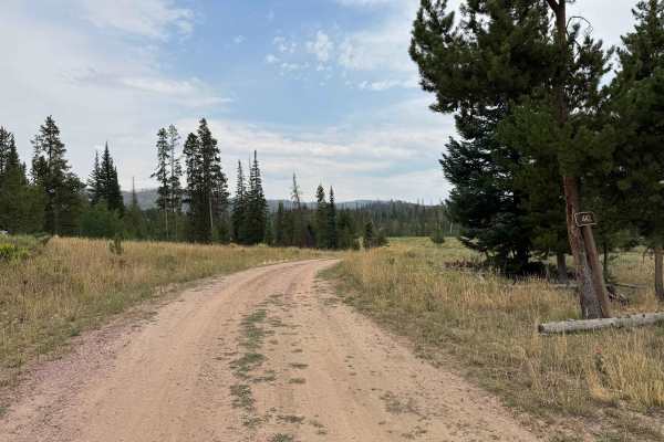 Morgan Creek Road - FS 442