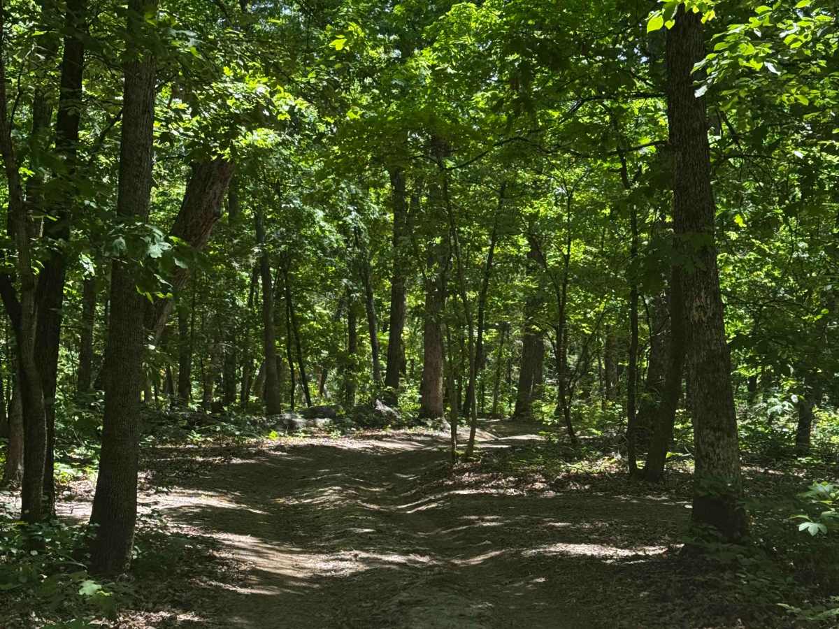 Top to Bottom trail photo