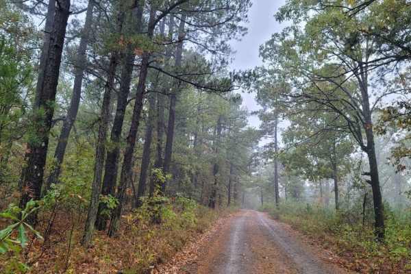 Walnut Grove