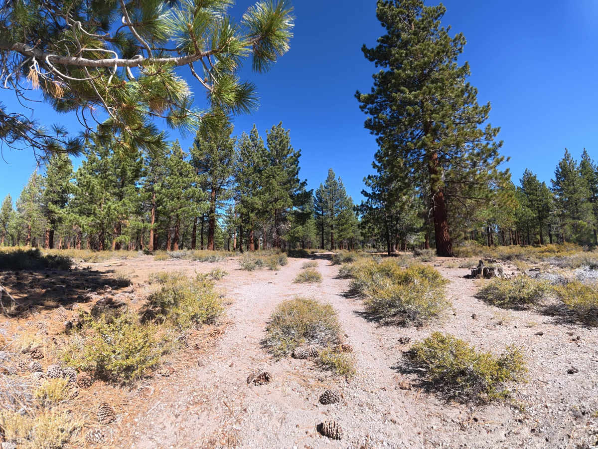 FS 1S87A trail photo