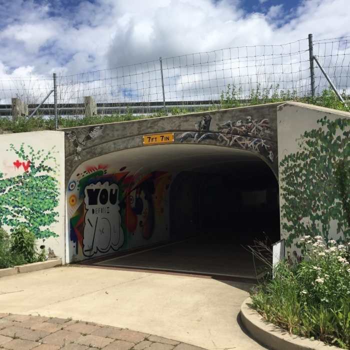 A tunnel marks the western end of the B&O Trail (East). Near B&O Trail (East)