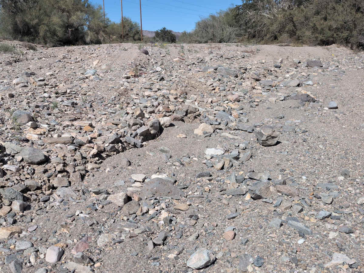 BLM 731 photo 5