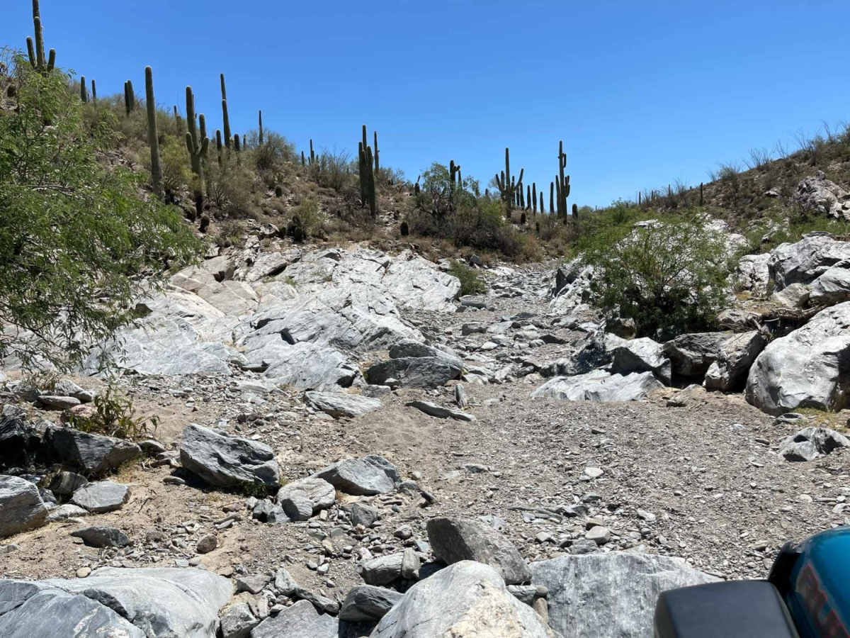 Lower Woody's Wash photo 4