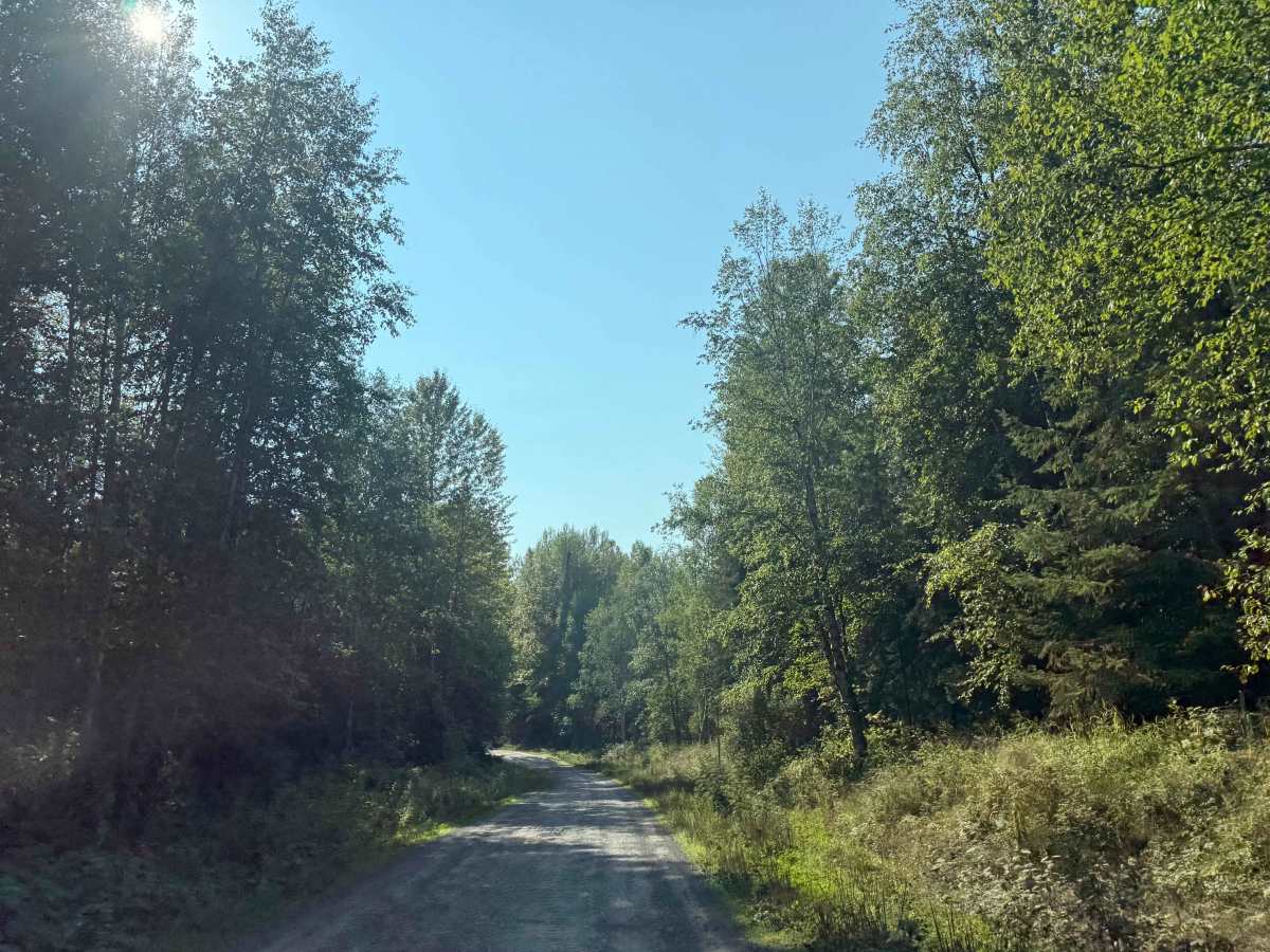 Cranberry Forest Service Road photo 3