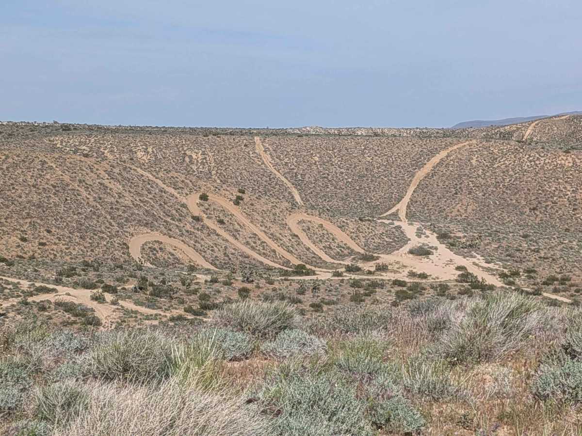 BLM SC186 photo 5