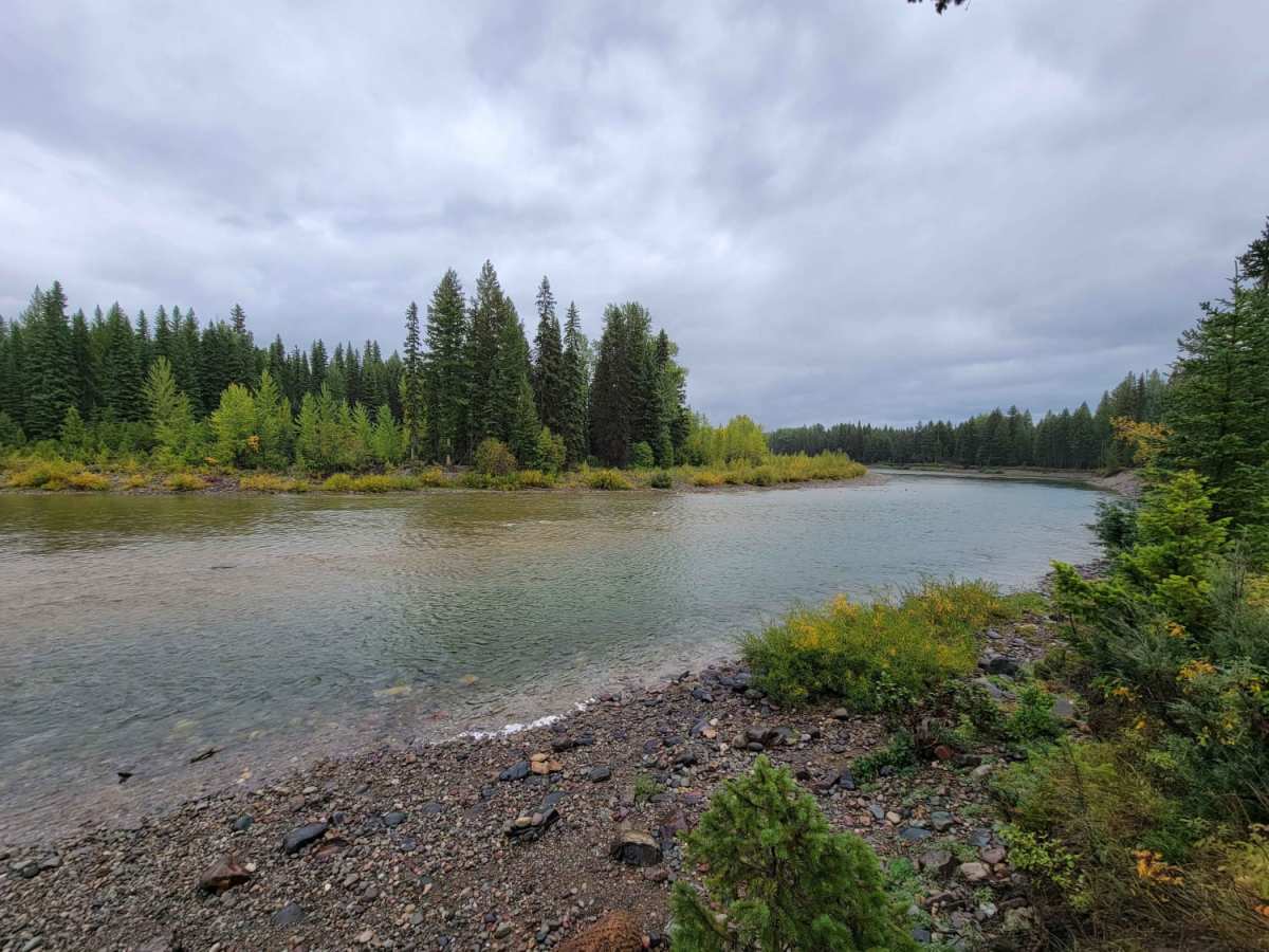 North Fork Road trail photo