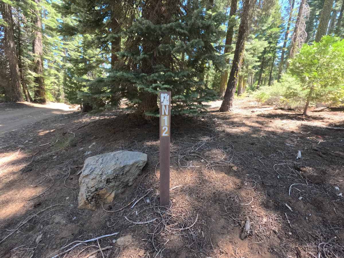 Penstock Road - FS 8N12 photo 2
