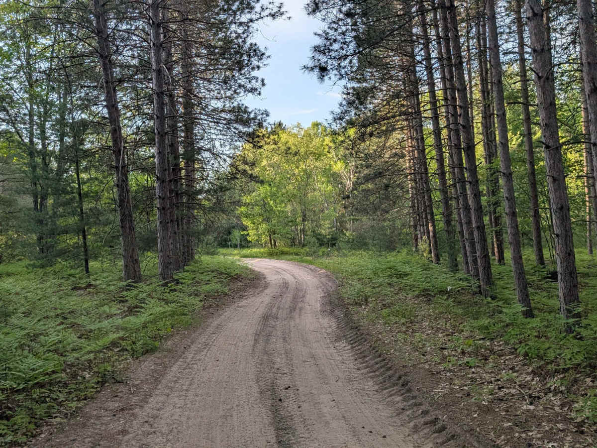 Little Canyon Creek Road trail photo