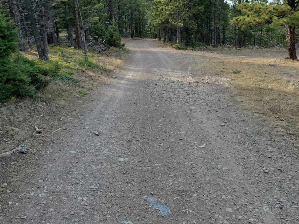 Little Wolf Creek Road photo 2