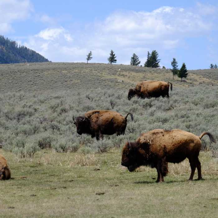 Near Garnet Hill Loop