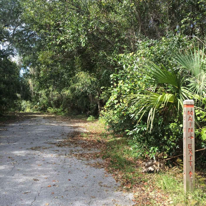 Where part of the trail meets the pavement. You are able to cross the road to make a loop on the trail! Near Reddie Point Preserve Route