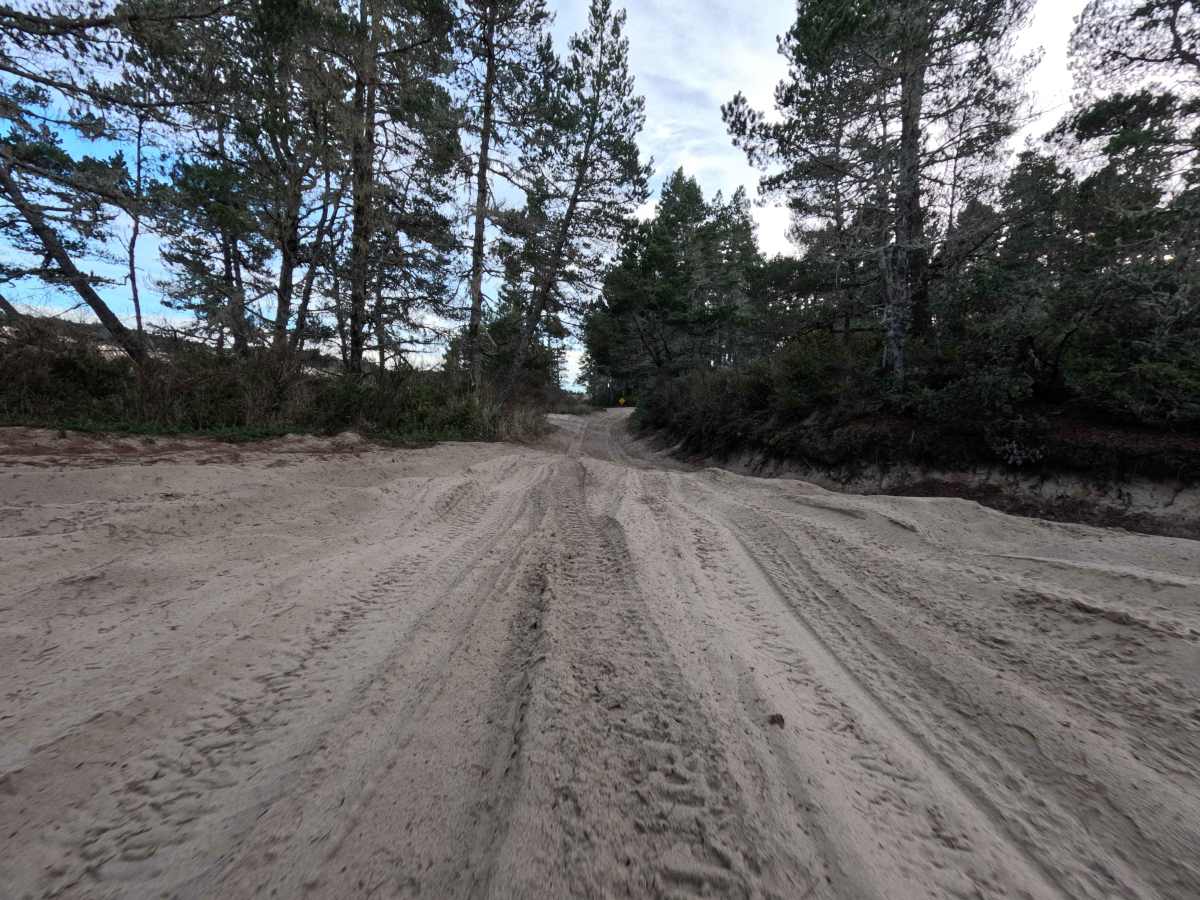 10 Mile OHV Trail trail photo