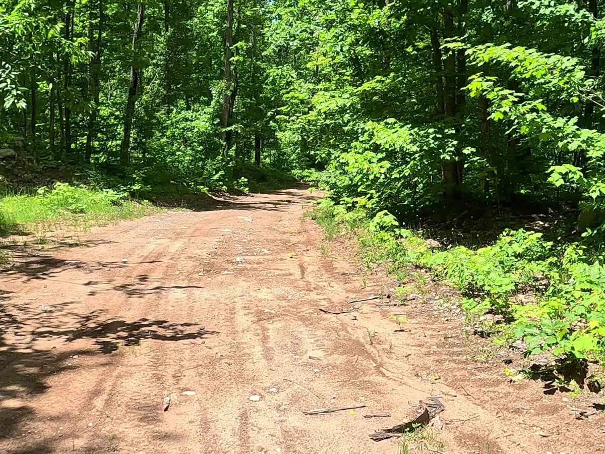 Little Pup Creek trail photo