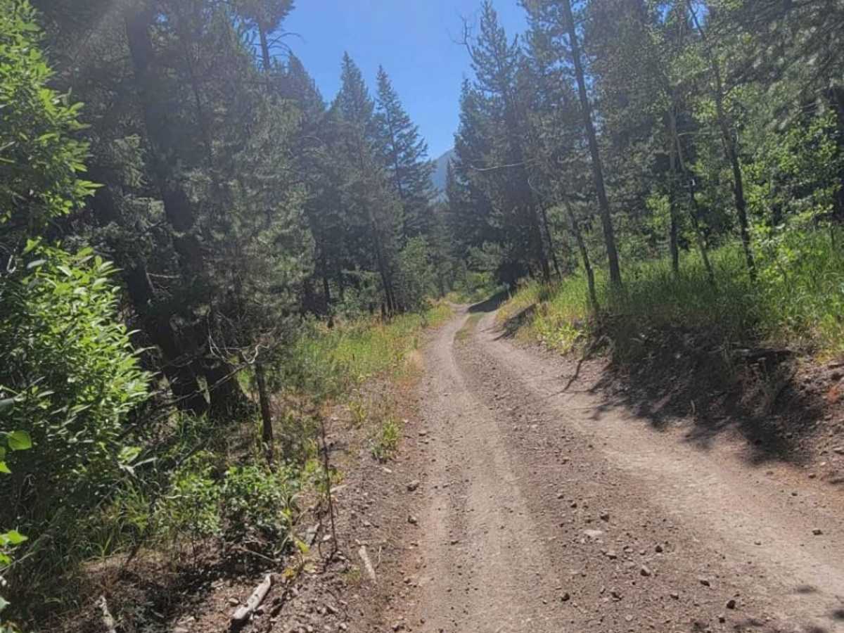 Warm Springs Creek Trail photo 2