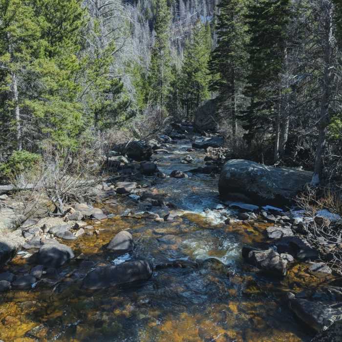 Near Fern Lake Trail