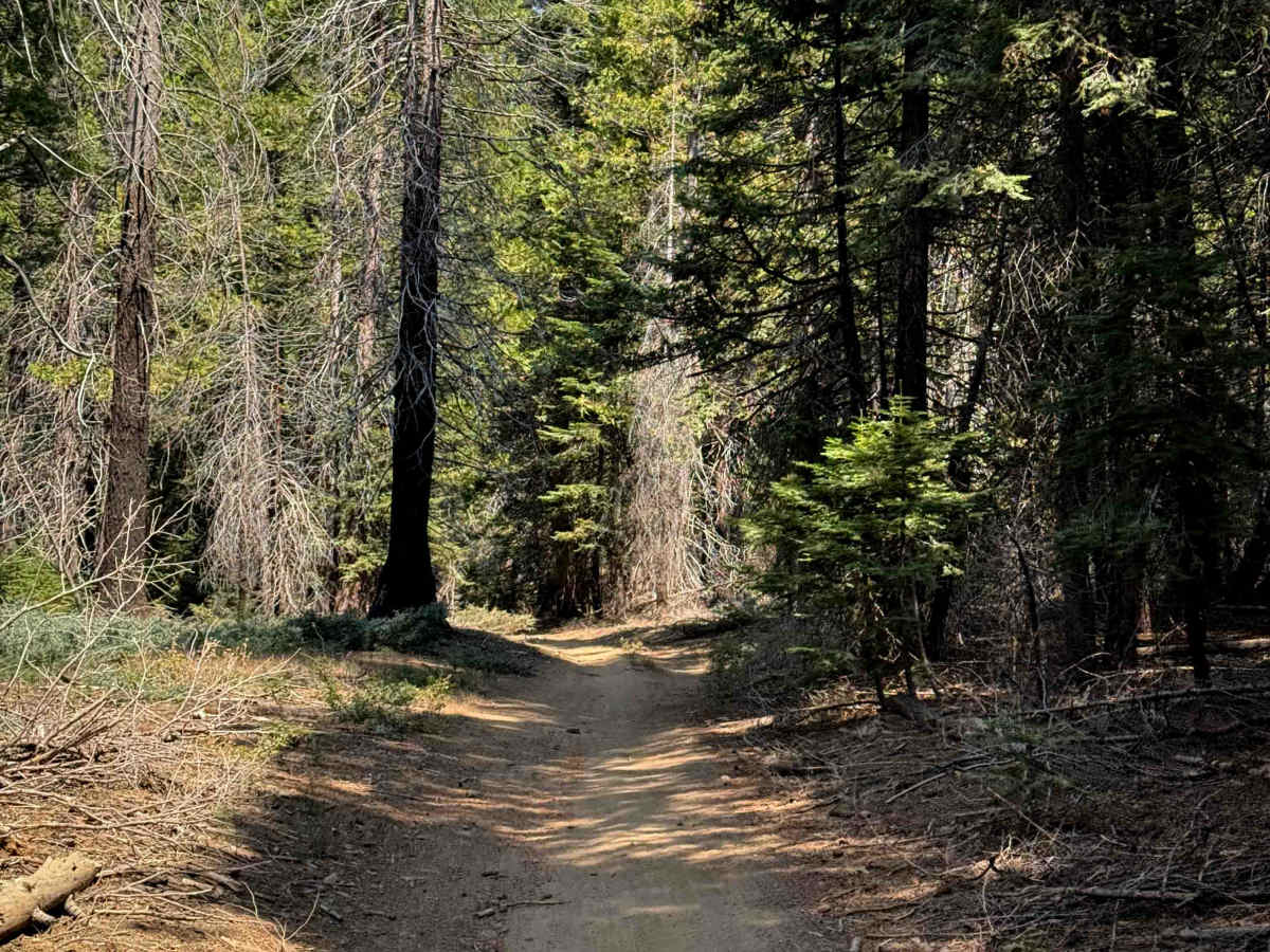 23E289  photo 6