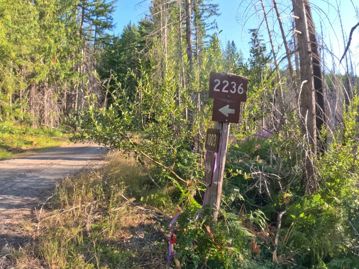 Upper Hawkins - FS 2236000 photo 2