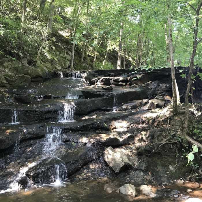Near Lake Haigler Loop