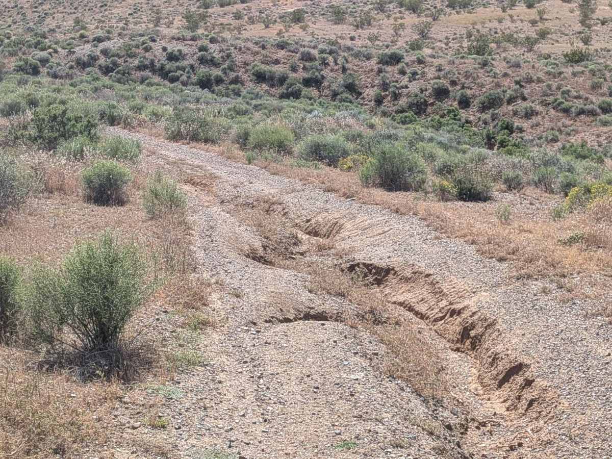BLM EP132 trail photo