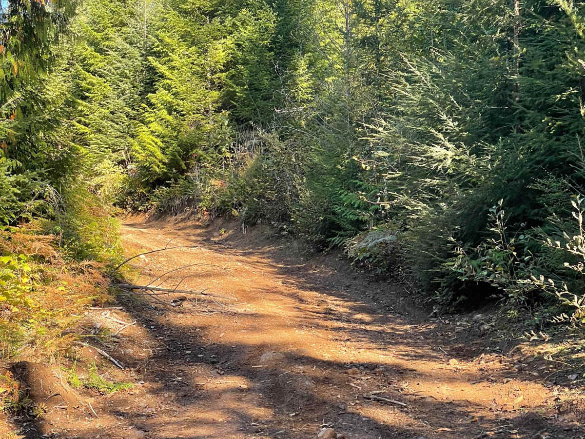 Skidder Hill photo 3