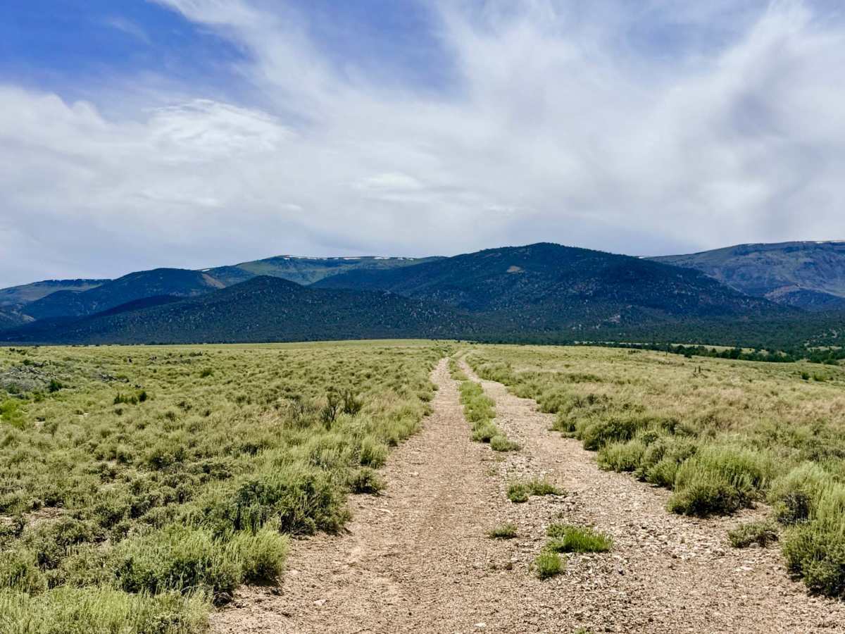 Danville Canyon Cutoff - FS 44467 photo 6
