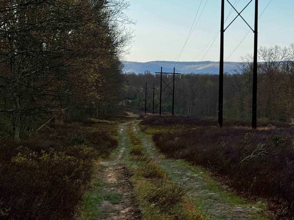Eagleton Powerline Trail photo 4