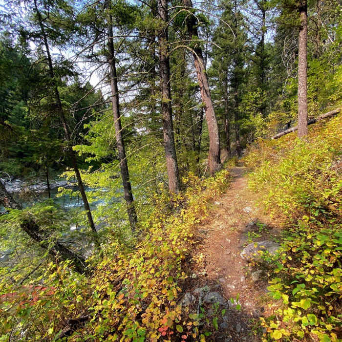 Near Gallatin River Trail #137