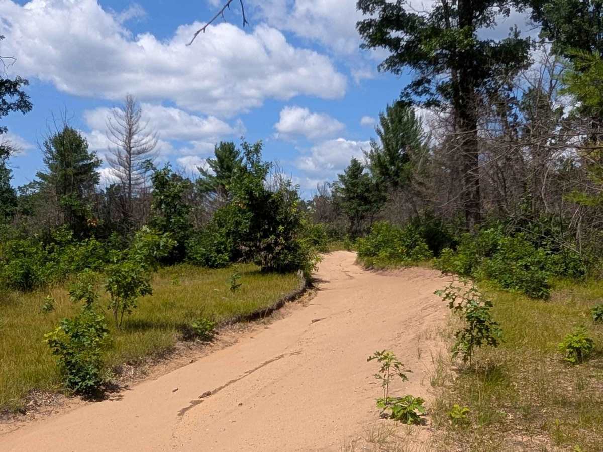 Cranberry Trail photo 3