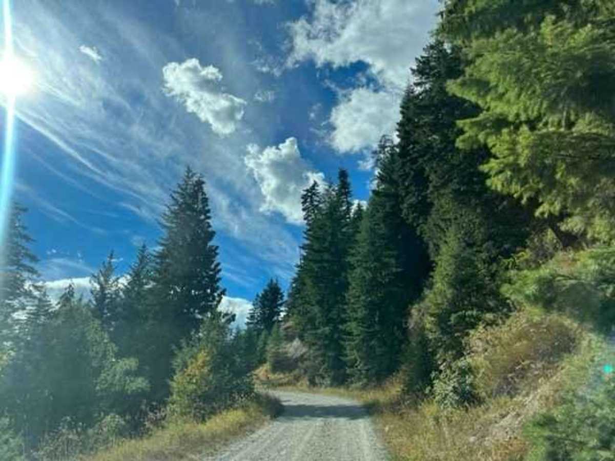 Johnson Lake Road trail photo