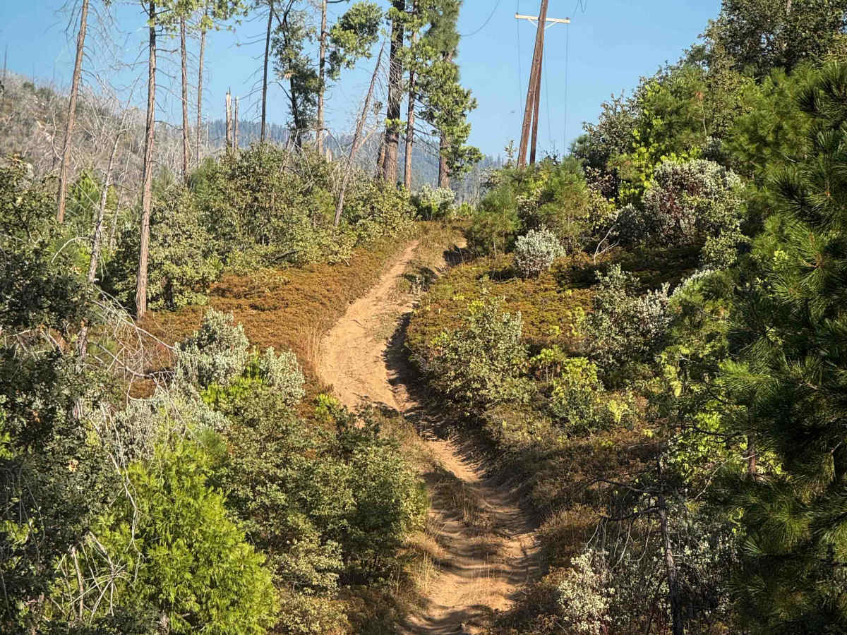 21E223 trail photo