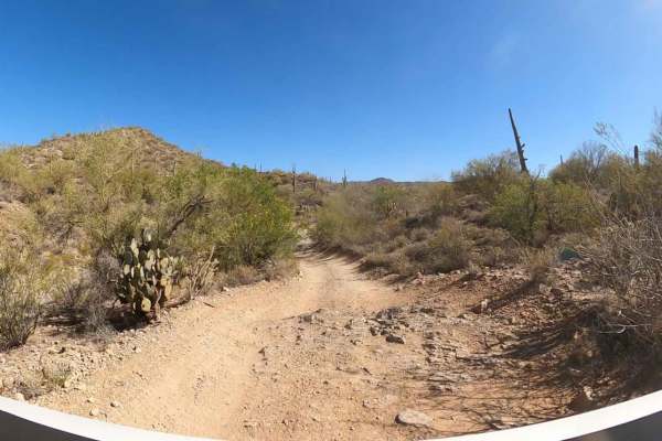 Buckhorn Wash Trail