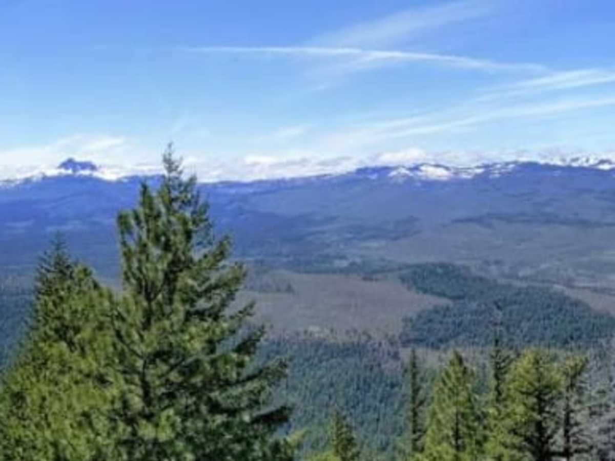 Green Ridge trail photo