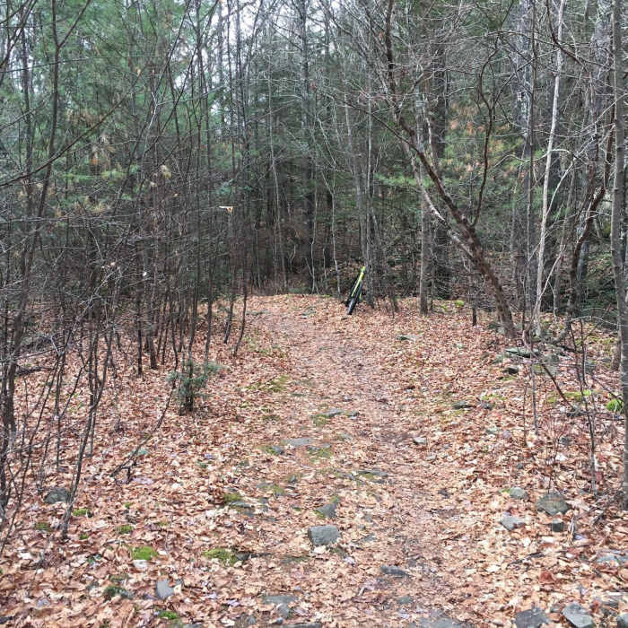 Near All Trails Loop