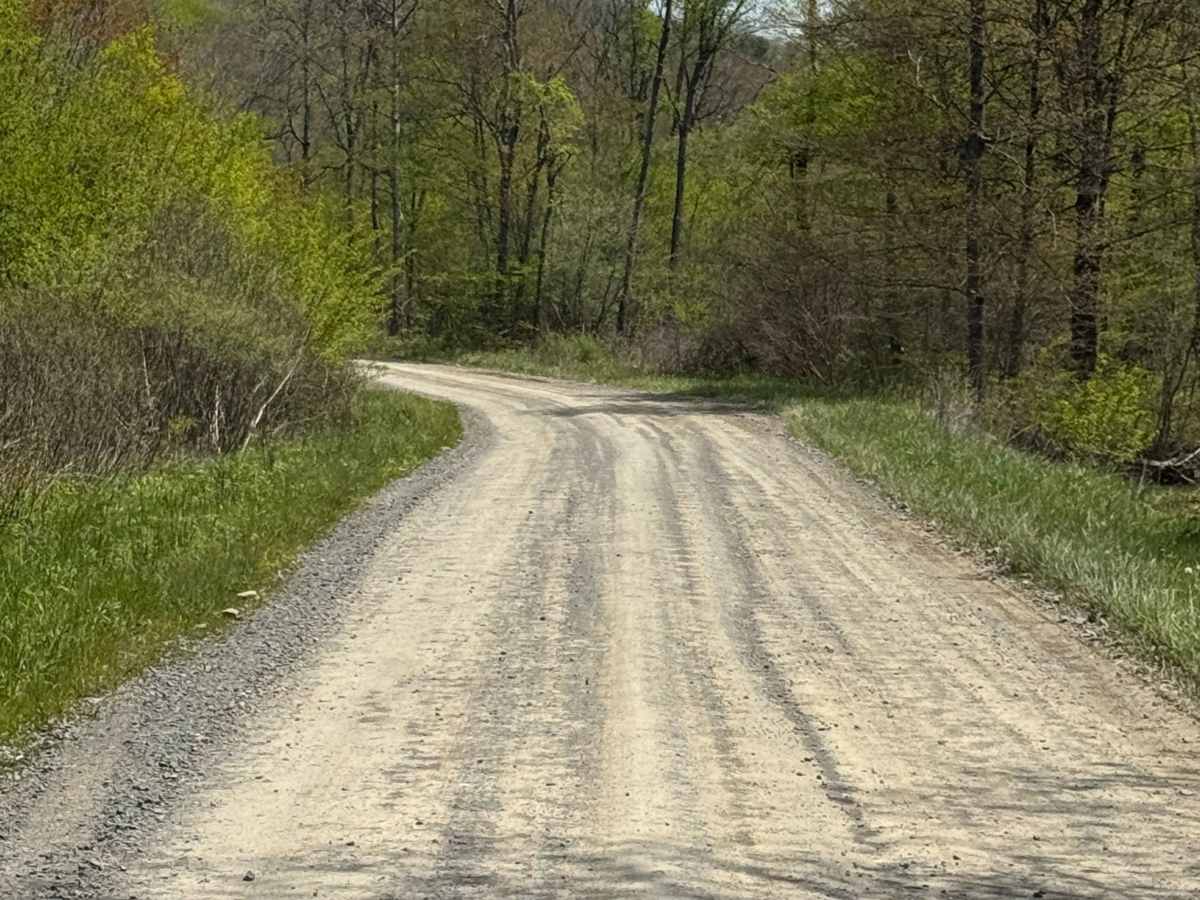 Dents Run Road photo 5