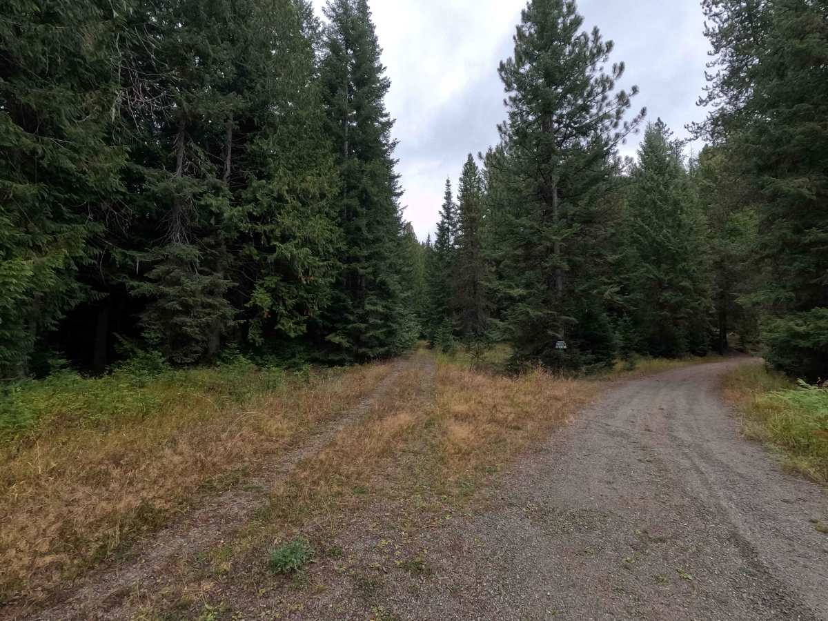 West Branch Flat Creek - FS 462 trail photo