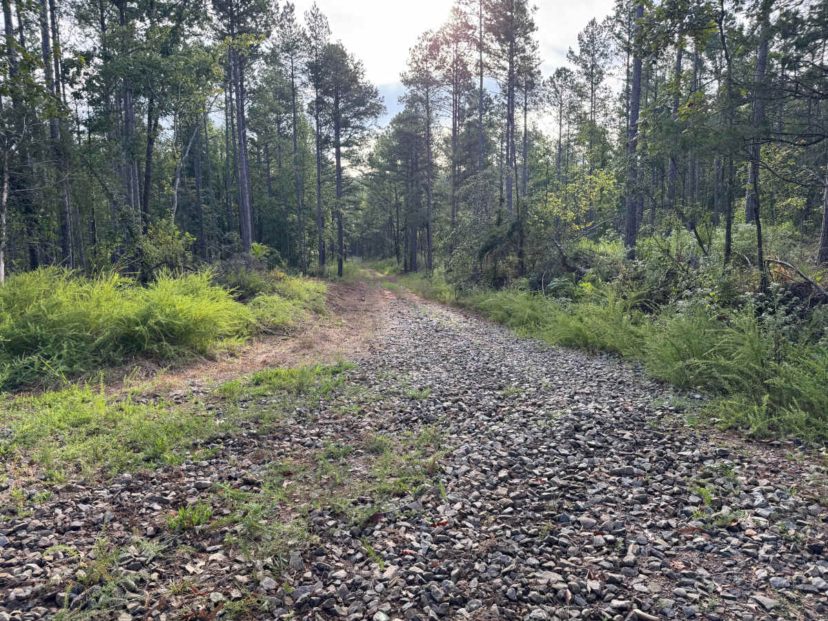 FS 1627D trail photo
