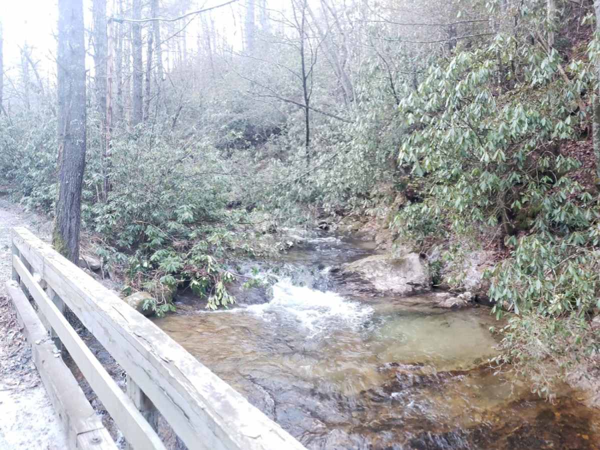 Green River Road trail photo