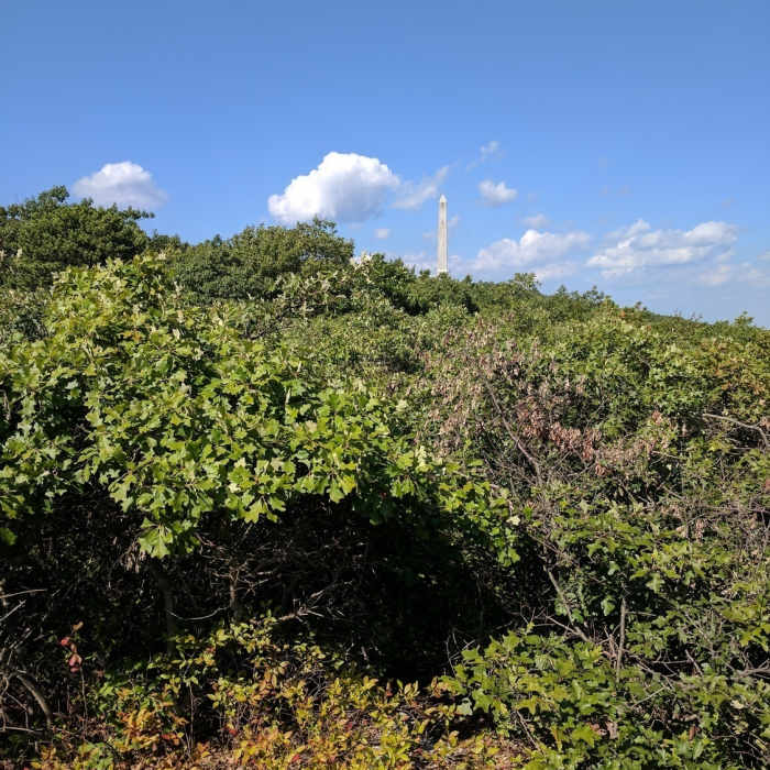 High Point Monument. Near Appalachian Trail to Observation Platform