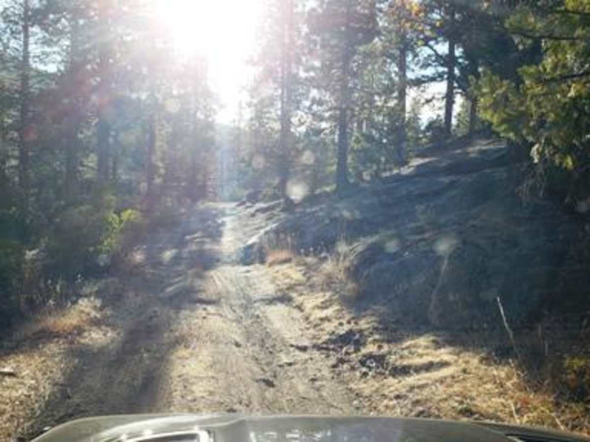Wrights Lake Rd - 11N26A photo 4