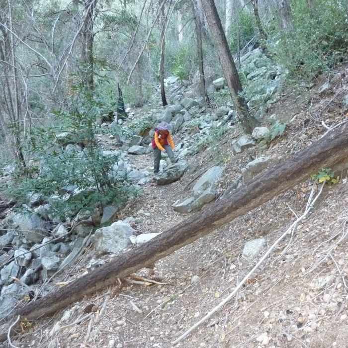 Near Kenyon DeVore Trail #11W13