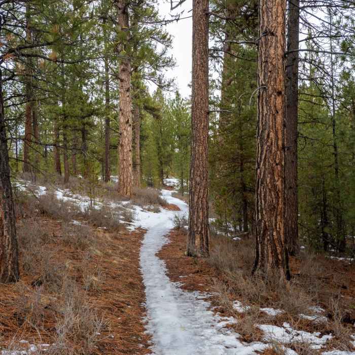Near McGregor Loop Near McGregor Loop