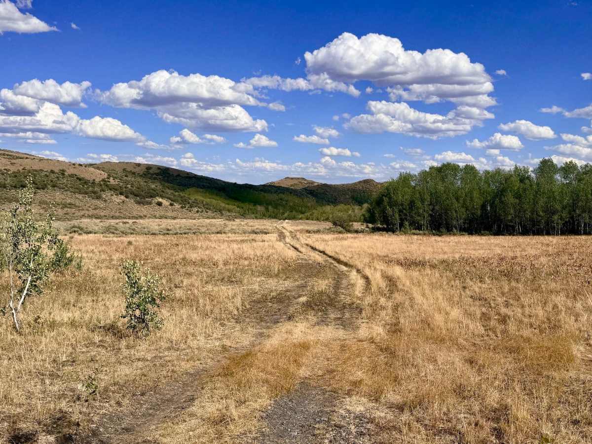 Deadman Springs - FS 56219 photo 3