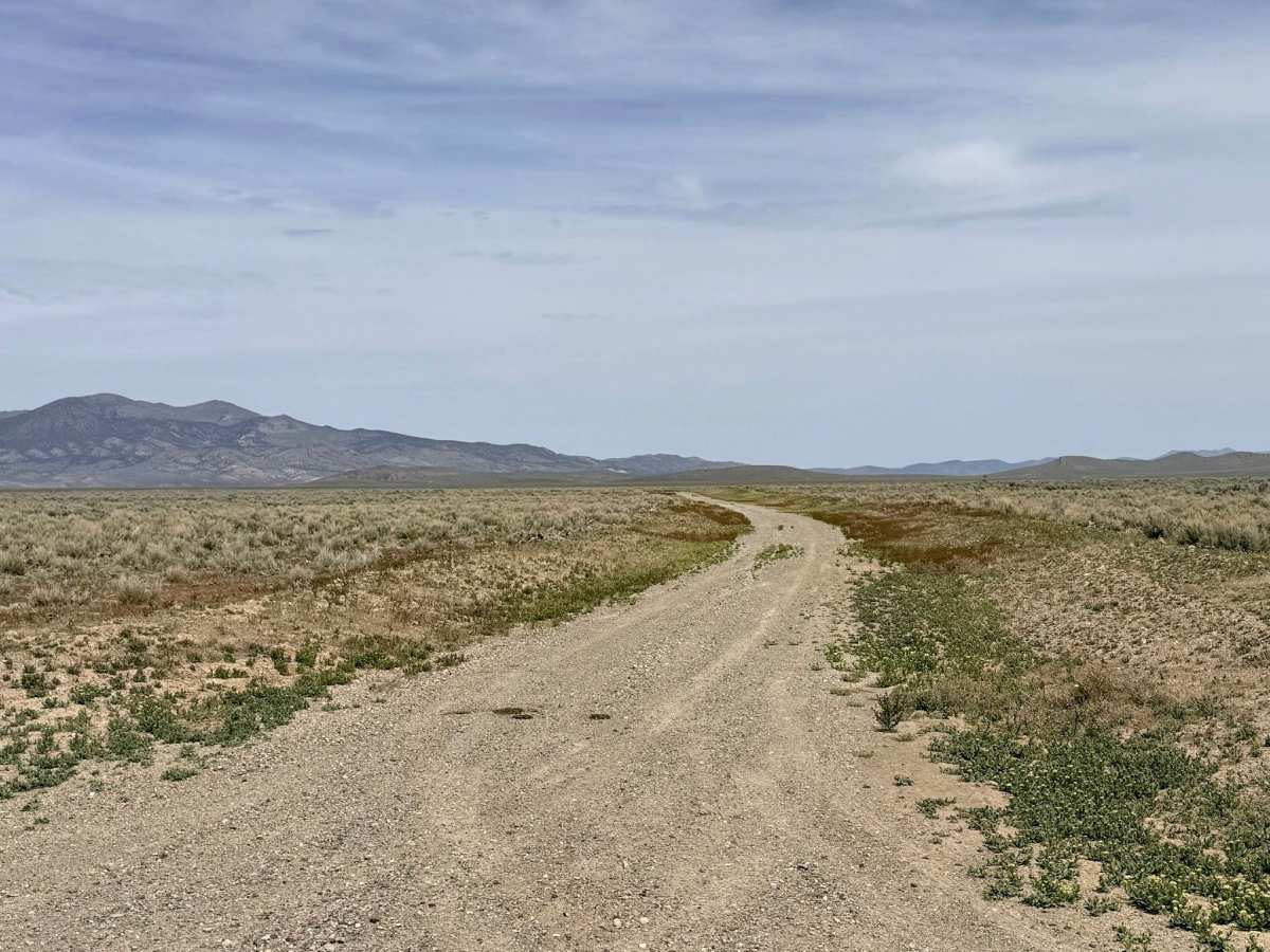South Old Highway Road photo 6