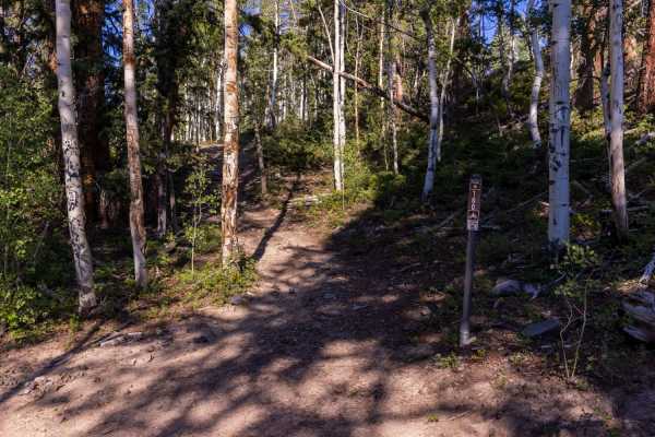 Deep Creek Trail