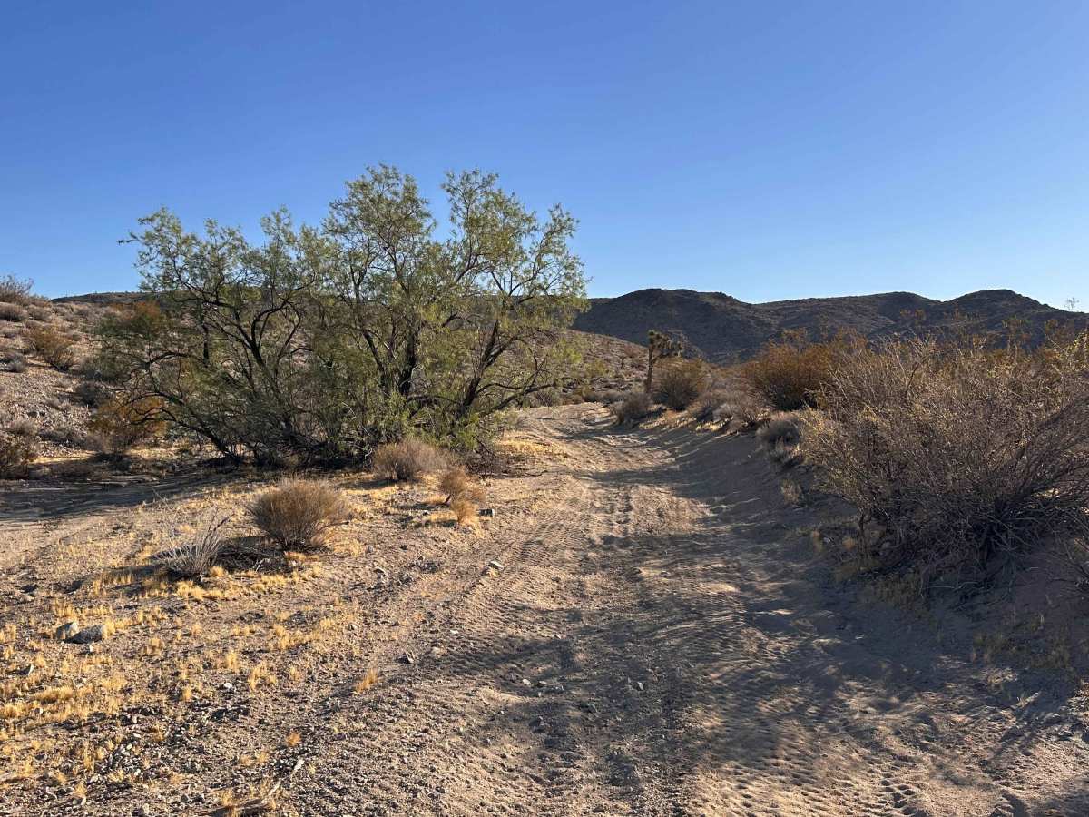 Outpost Trail trail photo