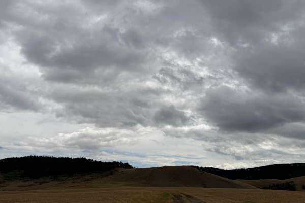 Grouse Mountain Meadow
