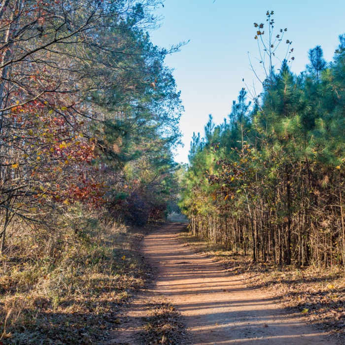 Near Pigeon and Cheatham Hill Loop