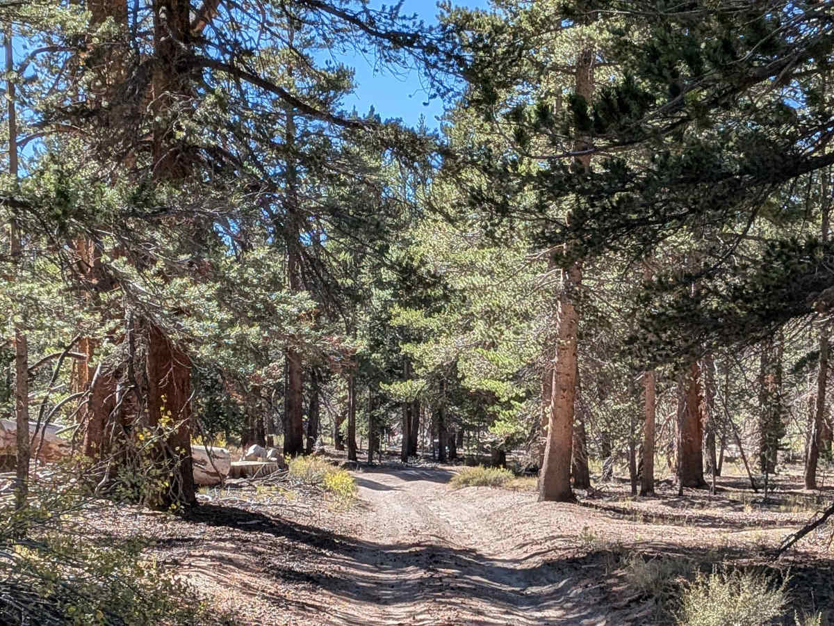 Wickie Up - FS 1S11 trail photo